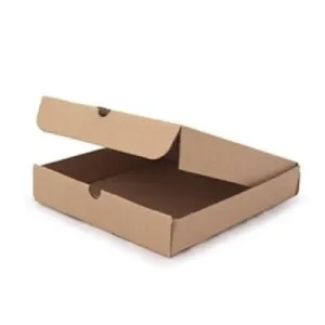 Plain Brown Pizza Box 9 (22.9cm)